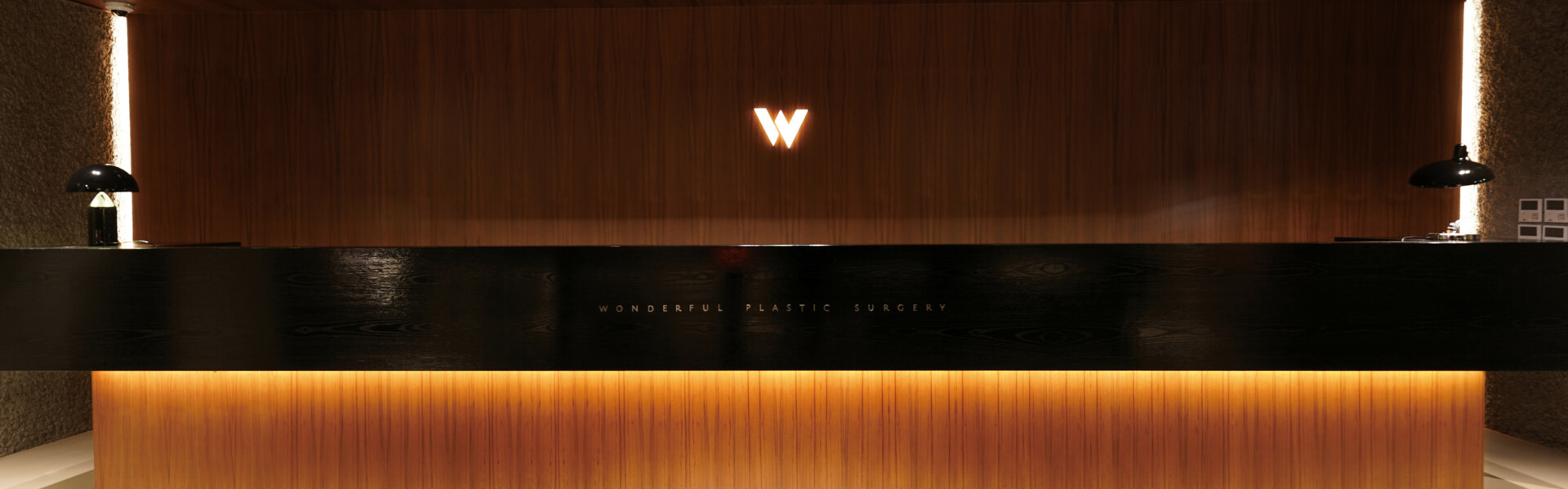 Wonderful Plastic Surgery